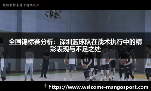 全国锦标赛分析：深圳篮球队在战术执行中的精彩表现与不足之处